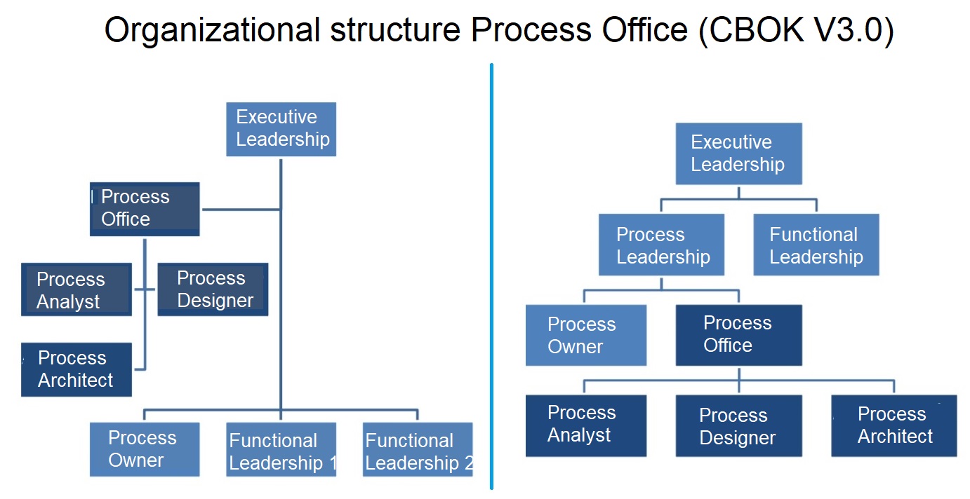 Business Process Management Organizational Structure